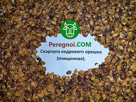 Скорлупа кедрового ореха