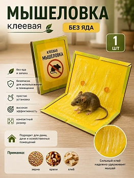 Клеевая мышеловка без яда