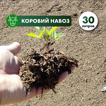 Конский навоз